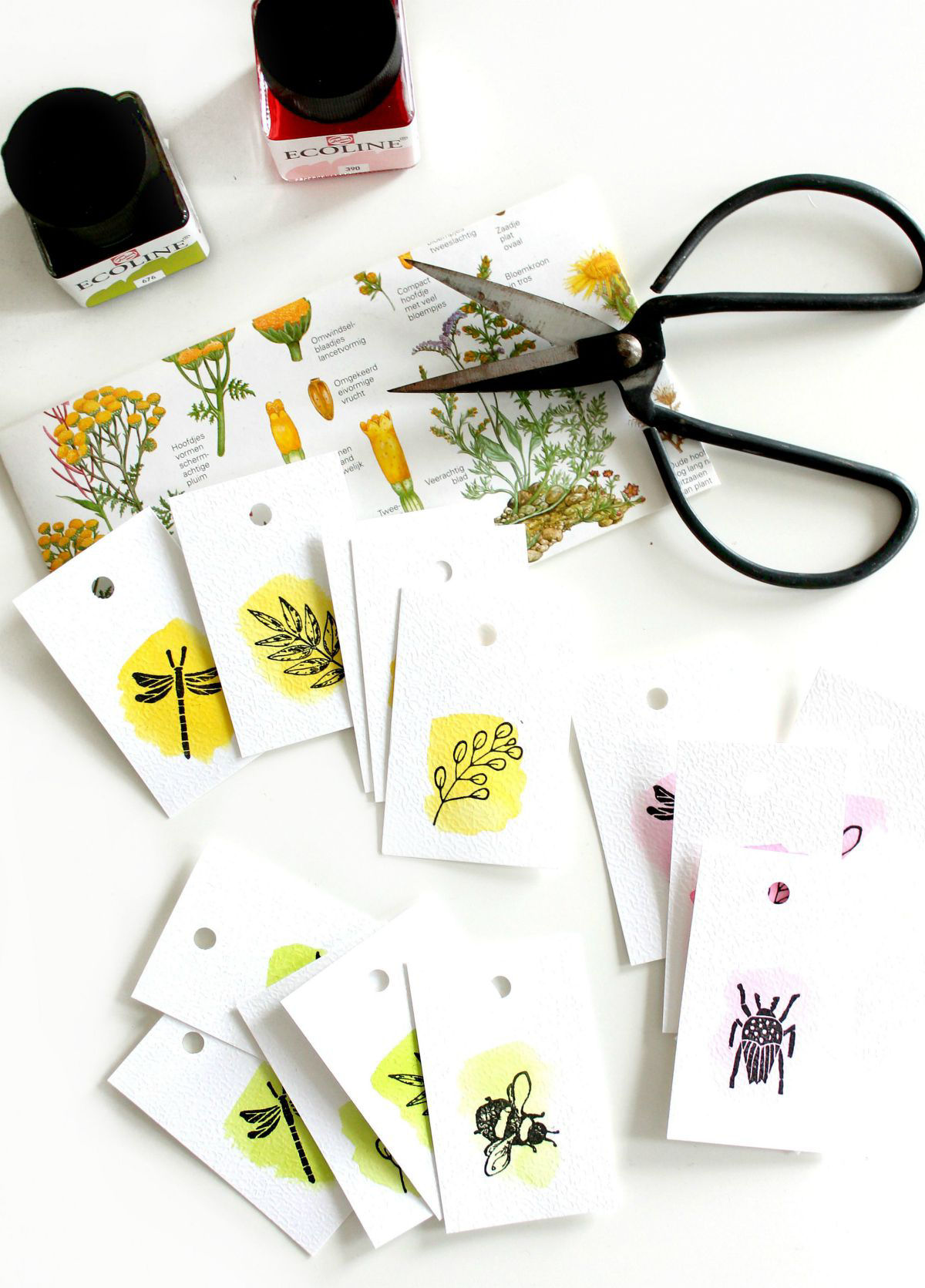 Botanische labels met ecoline en stempels