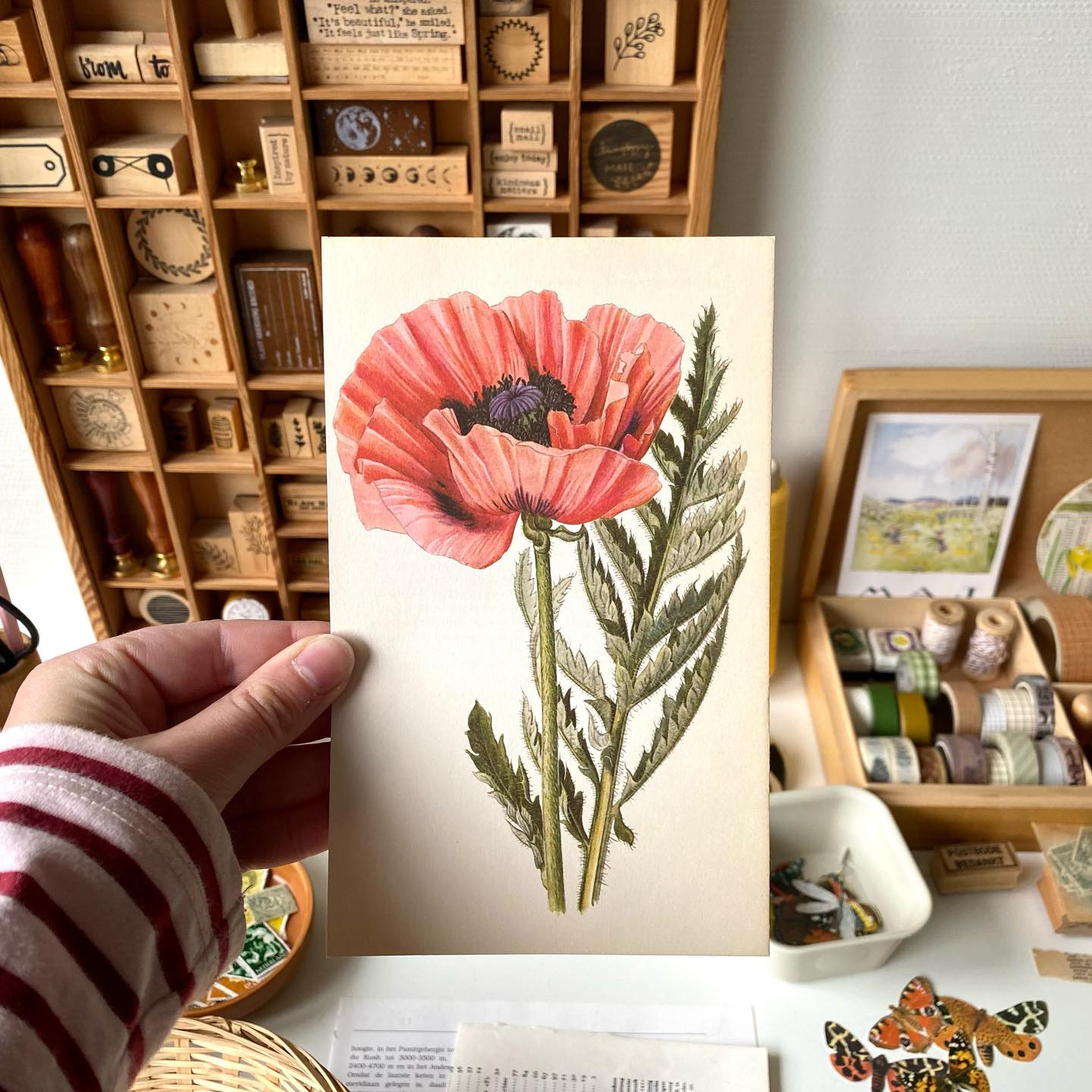Wat ik buiten zie neem ik in gedachten graag mee de studio in. Dat is het fijne van werken volgens de seizoenen, inspiratie is nooit ver. Deze week zijn het de klaprozen die mijn pad kleuren. Dieprood, als voorbode van de warme zomerzon.