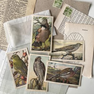 Verkade plaatjes vogels